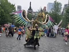 Jacqie-Dixon-Carimas-J