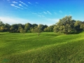 Arboretum landscape