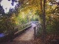 ChapmanMills Conservation Area, Barrhaven, Ottawa