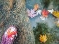 Fall scene