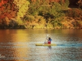 On the lake