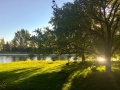 Ottawa Arboretum