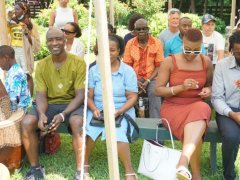 DSC00633