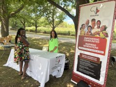 ACAO-Stand