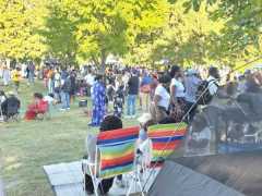Jollof-fetival-C